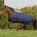 Bucas Irish Turnout 50gr Bleu foncé-or - 145/198