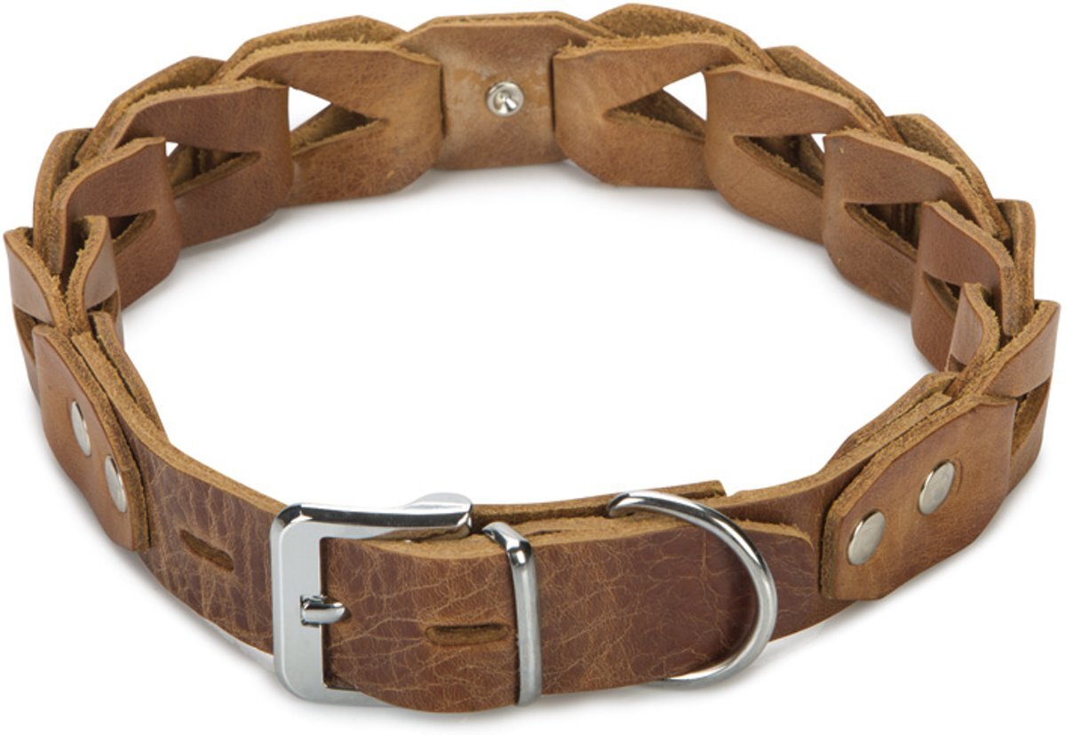 Beeztees Connex - Hondenhalsband - Leer - 65cm x 30mm