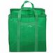 Siena Garden G95080 Heavy-Tuintas, groen, 216 L