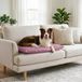 Italian Bed Linen Maxy Hondenkussen ELEGANT, gewatteerd, gewatteerd, 60 x 100 cm, lila