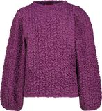 Vingino Jumina Truien & Vesten Meisjes - Hoodie - Paars - Maat 128