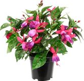 Kunstmatige Fuchsia Kunstmatige Sierplant in Pot