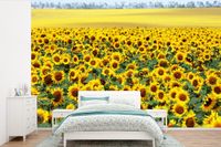 Nr1Wallpaper Fotobehang Zonnebloem - Bloemen - Natuur - Vlies - 360x240 cm - Multicolor