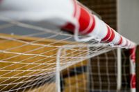 Powershot Netsportique Handbal- en strandhandbaldoelnet 2mm - Wit