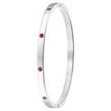Lucardi Dames Armband bangle geboortestenen - Staal - Armband - Cadeau - Stijlvol - Zilverkleurig