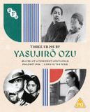 Yosujiro B F I Video Three Films by Yasujirō Ozu - Dragnet Girl/Record of a Tenement Gentleman/A Hen in The Wild - Blu-ray