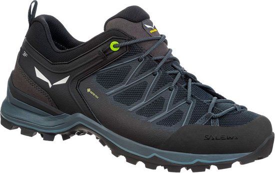 Salewa Mtn Trainer Lite Goretex Wandelschoenen Zwart EU 42 Heren