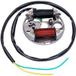 Puch Stator d'allumage 12V - 35W Puch / Sachs / Hercules / Zündapp