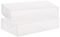 Whitmor Clear Vue Laarzenboxen, 2 stuks