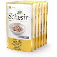 Schesir Adult 6 x 85 g Tonijn en kip