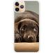 Chiot Bedrukt siliconen hoesje compatibel met iPhone 11 Pro