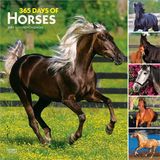 365 BrownTrout 365 Days of Horses 2027 12 X 24 Inch (Hanging) Monthly Square Wall Calendar Plastic-Free