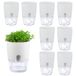 Zelfbewaterende plantenbakken - 8 stuks 8 inch kleine witte potten met decoratieve stenen, binnen en buiten, mini-bloempotten
