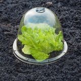 Nature Plantenstolp (34 cm) met grondpennen - set van 3 stuks