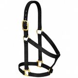 Weaver Leather Basic niet-verstelbaar nylon paardenhalster, zwart, 2,5 cm, klein paard