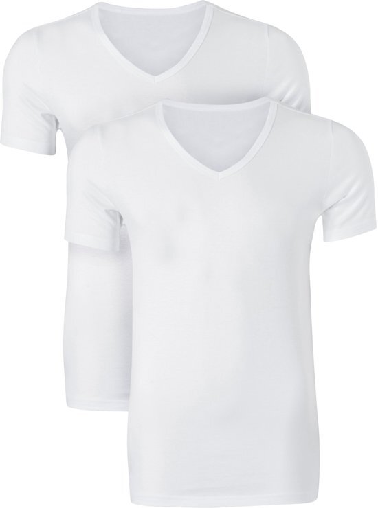 Ten Cate Basic heren T-shirts V-hals 2-pack wit