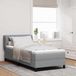 Prolenta Maison Exclusive - Boxspringbed met hoofdeinde, lichtgrijs, 100 x 200 cm, gestoffeerd
