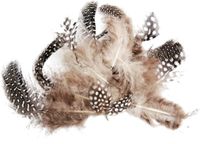 Merkloos Rayher Hobby Kleine Decoratie Dons Veren/Veertjes - 120x stuks - Zwart/Wit/Bruin Mix
