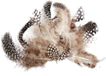 Merkloos Rayher Hobby Kleine Decoratie Dons Veren/Veertjes - 120x stuks - Zwart/Wit/Bruin Mix