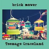V2 Red Eye Brick Mower Teenage Graceland LP