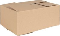 vidaXL Vouwdoos met opslag 50 stuks Naturel 35 x 24 x 15 cm Karton