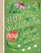 How Abrams & Chronicle Books How To Be A Wildflower