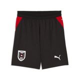 PUMA Sportbroek 'Österreich 2026' rood / zwart / wit