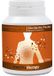 PharmaQ MastihaTherapy Protection gastrique naturelle 90 comprimés