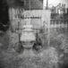 Summer Richard Youngs - Summer Through My Mind (LP)