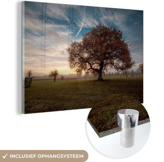 MuchoWow® Glass Painting 150x100 cm - Acrylic Glass Painting - Morning Mist Above the Oak Tree - Photo on Glass - Paintings