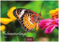 Schmetterlinge Casares Fine Art Edition Schmetterlinge Kalender 2027 - Wandkalender | Fotokalender Tierkalender 24x35cm