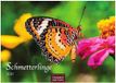 Schmetterlinge Casares Fine Art Edition Schmetterlinge Kalender 2027 - Wandkalender | Fotokalender Tierkalender 24x35cm