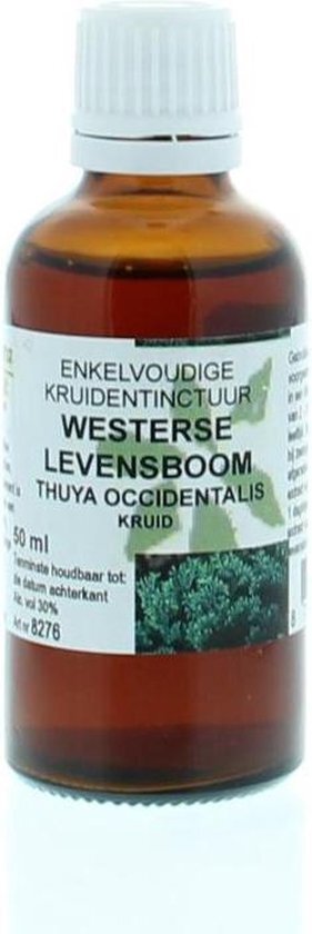 Thuja Occ/W Levensboom