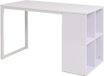 Maison Exclusive - Bureau 120x60x75 cm Blanc