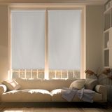 Blindecor Liso BK - Zeus zonder gereedschap, 100% ondoorzichtig, zilvergrijs, 67 x 180 cm (B x H)