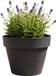 EDA Romeo Bloempot / plantenpot - kunststof - antraciet - D35 x H26 cm - binnen en buiten