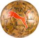 Puma Cup Graphic Voetbal Goud 4