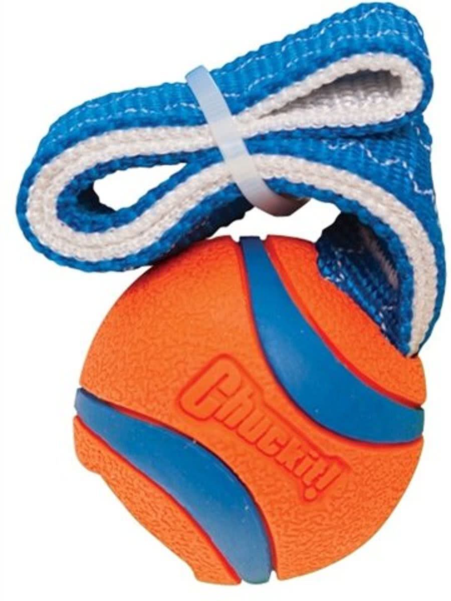 Chuckit Ultra Tug - large