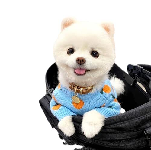 HXKJ Hond trui schattige wortel huisdier kleding teddy bichon schnauzer hond kleding gebreide hond vest voor klein medium hond puppy kostuum
