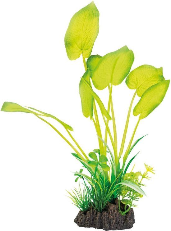 SF Art Plant Echinodorus - 25cm - Green