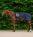 Waldhausen Couverture de séchage économique en polaire Cheval Bleu Nuit