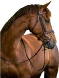 Covalliero Kerbl Hoofdstel Classic leer bruin cob