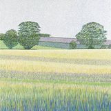 Susan Entwistle Art Barley Fields wenskaart, 15 cm x 15 cm, Papier Multi kleuren, 15 x 15 x 1 cm