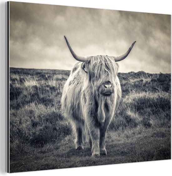 MuchoWow Wanddecoratie Metaal - Aluminium Schilderij Schotse Hooglander - 160x120 cm
