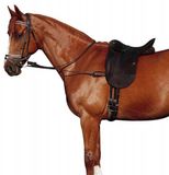 Norton Equestrian Chambon réglable Élastique Noir Polyester