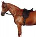 Norton Equestrian Chambon réglable Élastique Noir Polyester