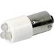 CML Innovative Technologies 1862035W3 Lampe de signalisation LED Blanc froid BA9s 24 V/DC, 24 V/AC 2400 mcd