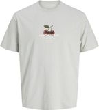 JACK&JONES JCOMARINA FRONT PRINT TEE SS CREW NECK Jongens T-shirts S Katoen Vapor Blue