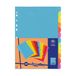 Viquel - Set van 12 tabbladen van kunststof - A4-formaat - Neonkleur