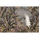 Tropical Forest Birds Panoramic Wallpaper - 382 cm X 255 cm